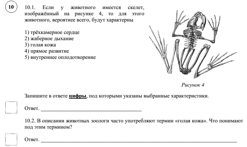 Если у животного имеется структура изображенная на рисунке 4 то для этого животного вероятнее всего