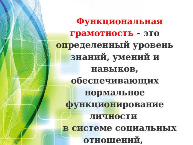  Функциональная грамотность - это определенный уровень знаний, умений и навыков, обеспечивающих нормальное функционирование личности в системе социальных отношений, т.е. ее  смысл состоит в приближении образовательной деятельности к жизни.   