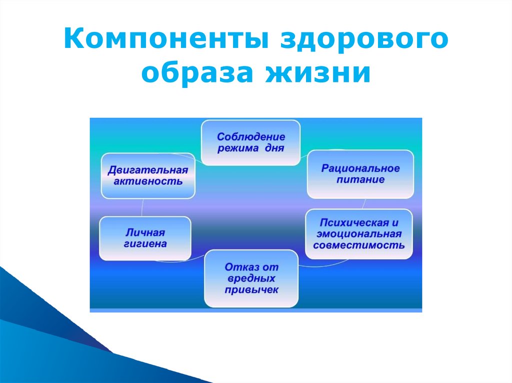 Картинка составляющие здоровья