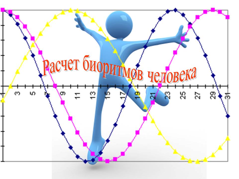 Биоритмы в картинках