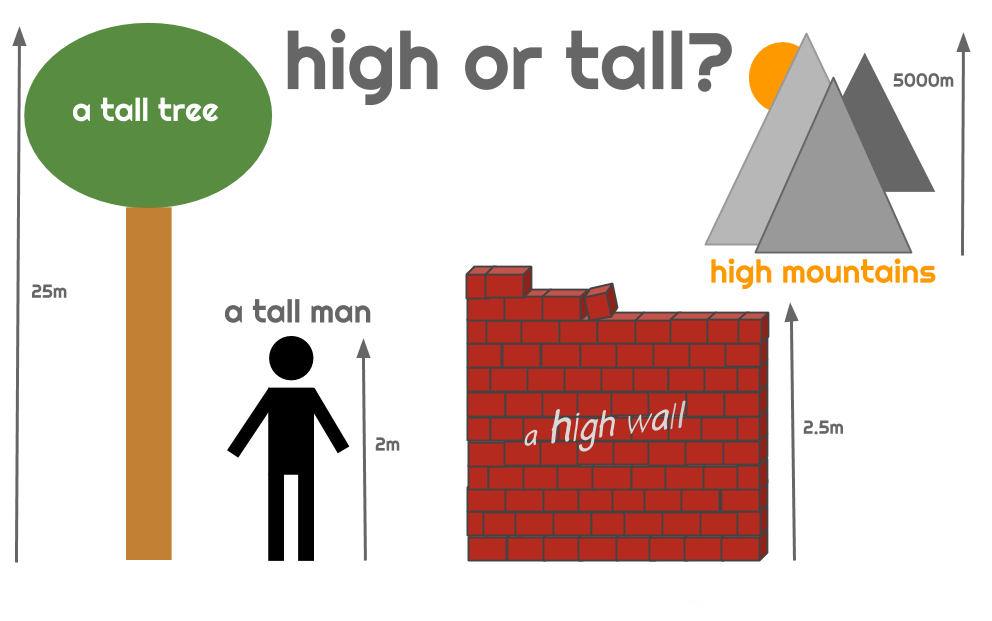 Far tall. Tall High. Tall High разница. Tall High правило. Разница между словами Tall и High.