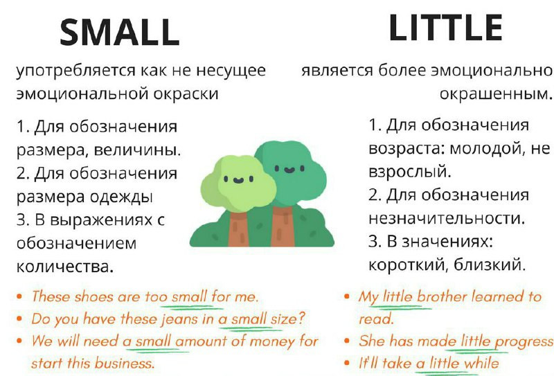 Презентация big little