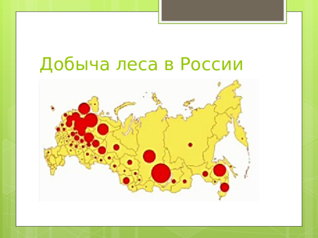 Добыча леса в России 