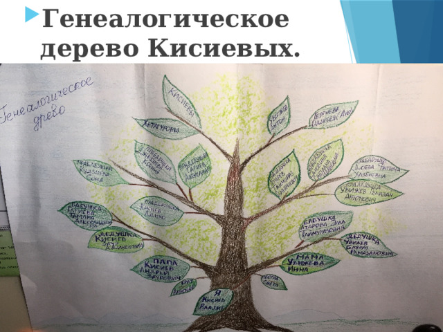 Генеалогическое дерево Кисиевых.    
