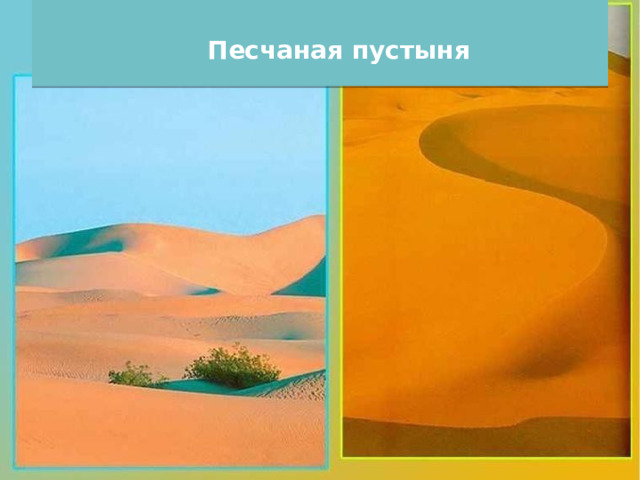  Песчаная пустыня 
