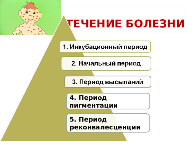 Периоды течения кори:  период 4. Период пигментации 5. Период реконвалесценции ТЕЧЕНИЕ БОЛЕЗНИ 4. Период пигментации 5. Период реконвалесценции 