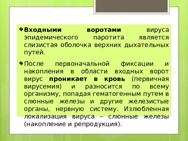 Входными воротами вируса эпидемического паротита является слизистая оболочка верхних дыхательных путей. После первоначальной фиксации и накопления в области входных ворот вирус проникает в кровь (первичная вирусемия) и разносится по всему организму, попадая гематогенным путем в слюнные железы и другие железистые органы, нервную систему. Излюбленная локализация вируса – слюнные железы (накопление и репродукция). 