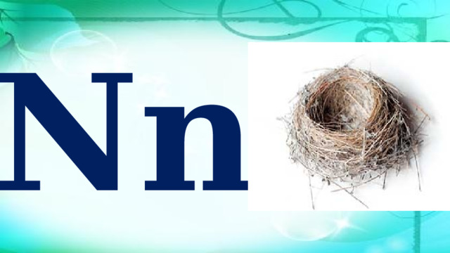 Nn 