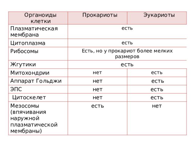Органоиды клетки Плазматическая мембрана Прокариоты Эукариоты есть Цитоплазма  есть Рибосомы Есть, но у прокариот более мелких размеров Жгутики есть Митохондрии Аппарат Гольджи нет есть нет ЭПС  есть нет  Цитоскелет есть нет Мезосомы (впячивания наружной плазматической мембраны) есть есть нет 