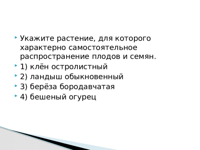 Укажи­те растение, для которого характерно самостоятельное распространение плодов и семян. 1) клён остролистный 2) ландыш обыкновенный 3) берёза бородавчатая 4) бешеный огурец 