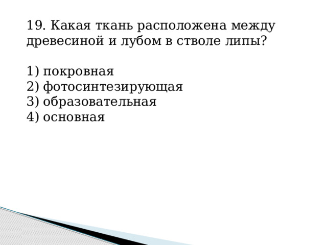 19. Какая ткань расположена между древесиной и лубом в стволе липы?   1) покровная 2) фотосинтезирующая 3) образовательная 4) основная 