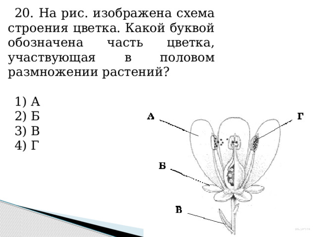 Тесты огэ растения