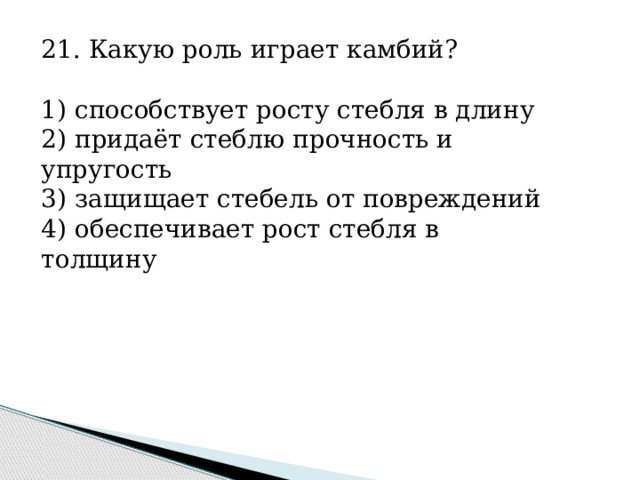 21. Какую роль играет камбий?   1) способствует росту стебля в длину 2) придаёт стеблю прочность и упругость 3) защищает стебель от повреждений 4) обеспечивает рост стебля в толщину 