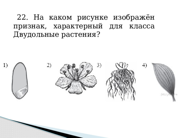 Тесты огэ растения