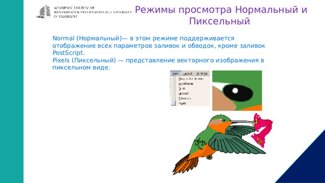 Режимы просмотра Нормальный и Пиксельный Normal (Нормальный)— в этом режиме поддерживается отображение всех параметров заливок и обводок, кроме заливок PostScript. Pixels (Пиксельный) — представление векторного изображения в пиксельном виде. 