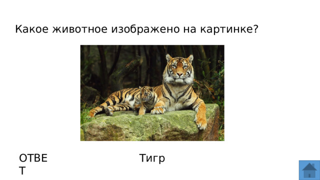 Какое животное изображено на картинке? ОТВЕТ Тигр  