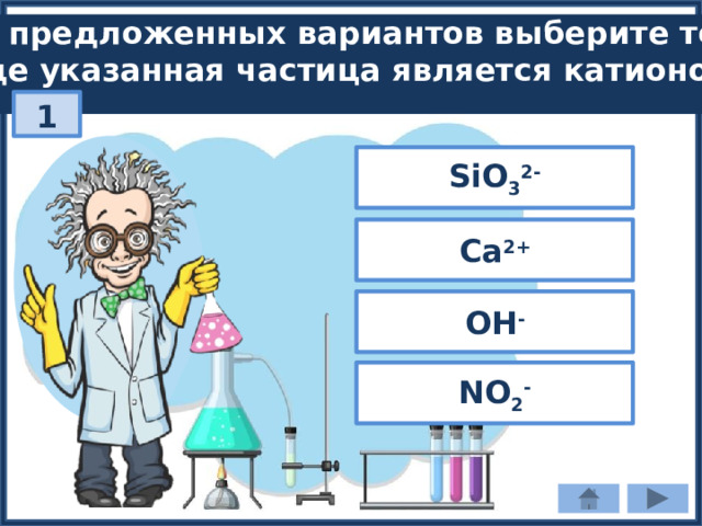 Из предложенных вариантов выберите тот, где указанная частица является катионом: 1 SiО 3 2- Са 2+ OH - NO 2 - 