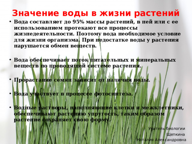 Значение воды в жизни растений   Вода составляет до 95% массы растений, в ней или с ее использованием протекают все процессы жизнедеятельности. Поэтому вода необходимое условие для жизни организма. При недостатке воды у растения нарушается обмен веществ.  Вода обеспечивает поток питательных и минеральных веществ по проводящей системе растения.  Прорастание семян зависит от наличия воды.  Вода участвует в процессе фотосинтеза.  Водные растворы, наполняющие клетки и межклетники, обеспечивают растению упругость, таким образом растение сохраняет свою форму.  Учитель биологии Щепкина Наталия Александровна 