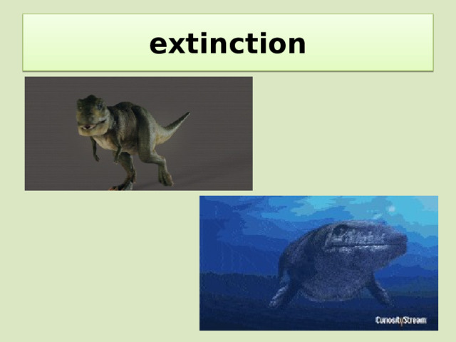 extinction 