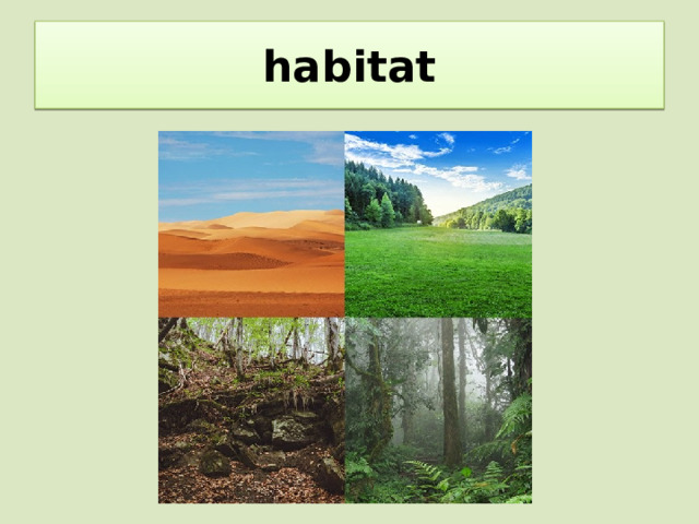 habitat 