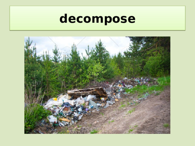 decompose 