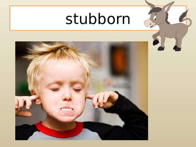 stubborn 