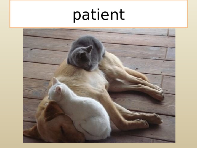 patient 