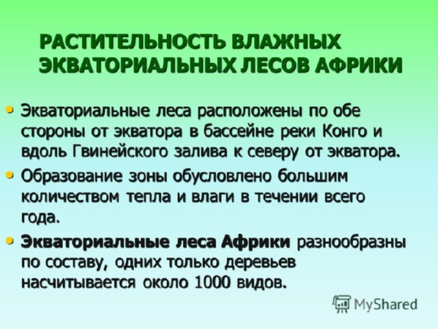 Географическое расположение влажных экваториальных лесов