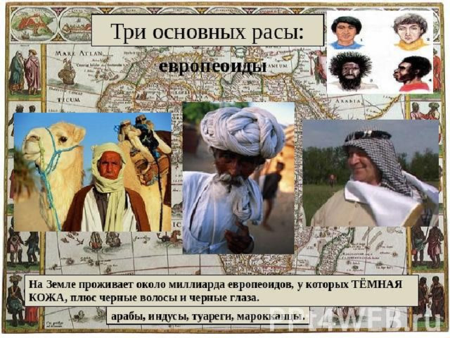 Арабы раса