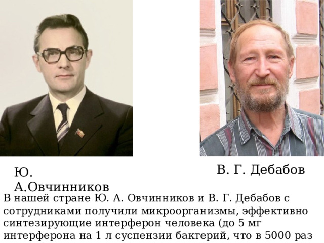 В. Г. Дебабов Ю. А.Овчинников В нашей стране Ю. А. Овчинников и В. Г. Дебабов с сотрудниками получили микроорганизмы, эффективно синтезирующие интерферон человека (до 5 мг интерферона на 1 л суспензии бактерий, что в 5000 раз больше, чем содержится в 1 л крови доноров). 