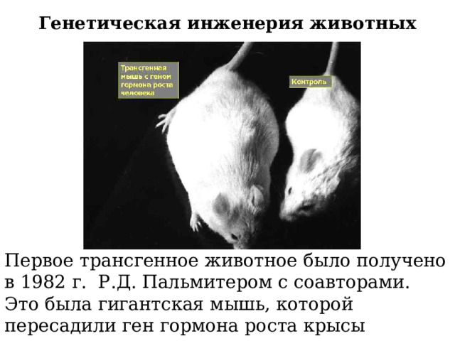 Открытие генной инженерии презентация