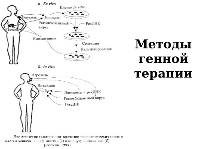 Методы генной терапии 