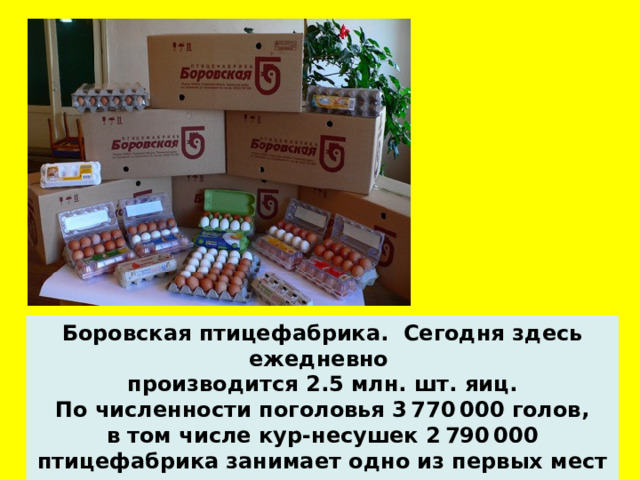 Боровская птицефабрика.  Сегодня здесь ежедневно производится 2.5 млн. шт. яиц. По численности поголовья 3 770 000 голов, в том числе кур-несушек 2 790 000 птицефабрика занимает одно из первых мест в мире.  