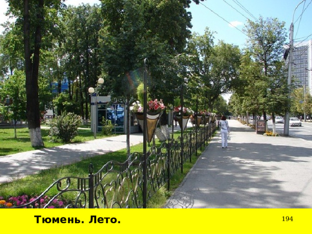 Тюмень. Лето.  