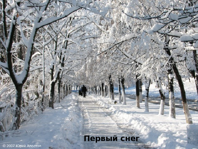 Первый снег  