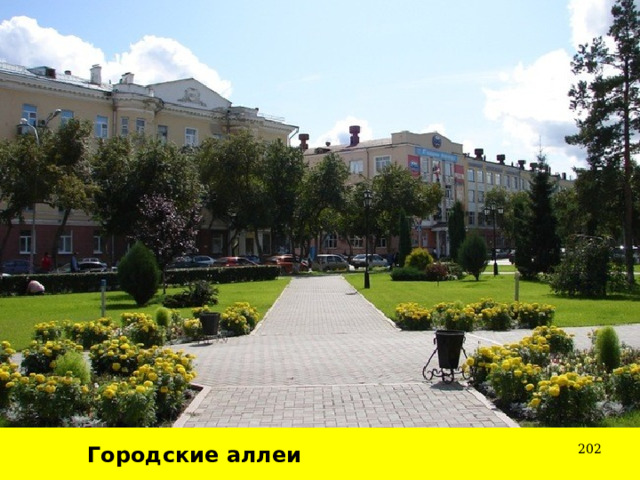  Городские аллеи 