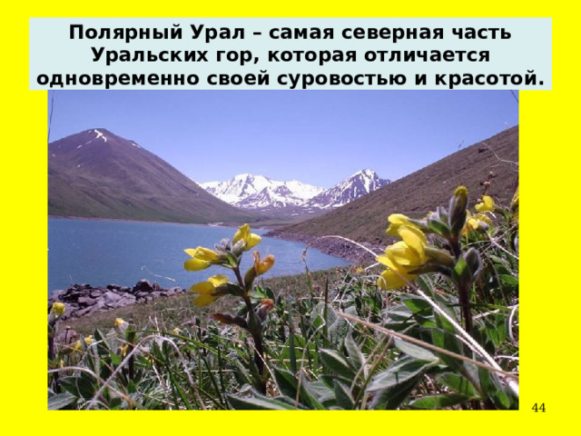 Полярный Урал – самая северная часть Уральских гор, которая отличается одновременно своей суровостью и красотой.  