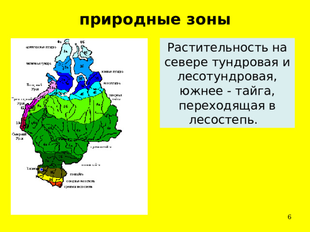 природные зоны Растительность на севере тундровая и лесотундровая, южнее - тайга, переходящая в лесостепь.   