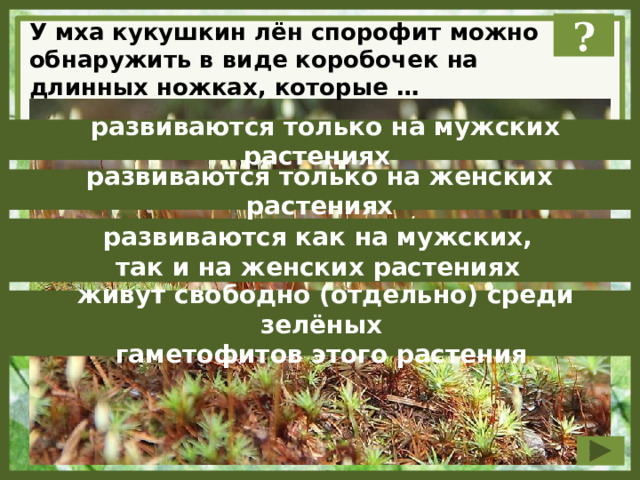 ? У мха кукушкин лён спорофит можно обнаружить в виде коробочек на длинных ножках, которые …  развиваются только на мужских растениях развиваются только на женских растениях  развиваются как на мужских, так и на женских растениях  живут свободно (отдельно) среди зелёных гаметофитов этого растения 