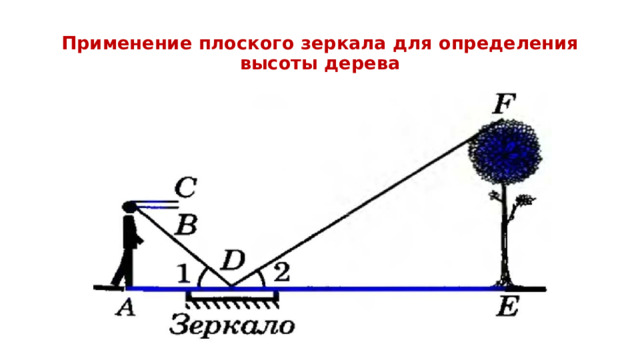 Применение плоского зеркала для определения высоты дерева 