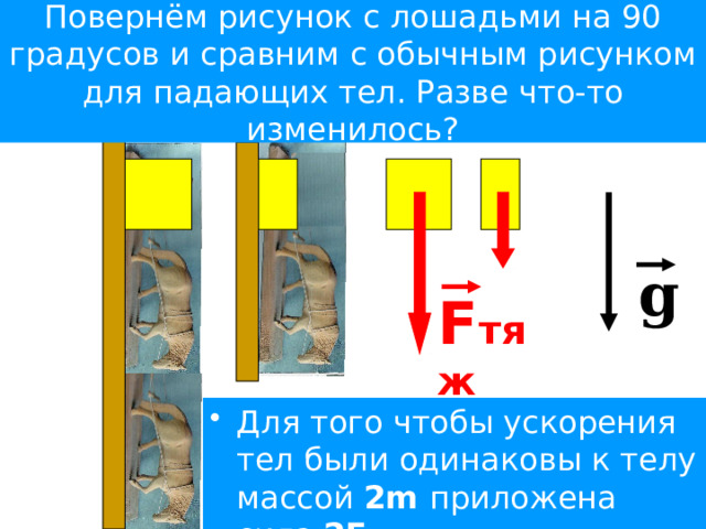 Презентация свободное падение тел 10 класс