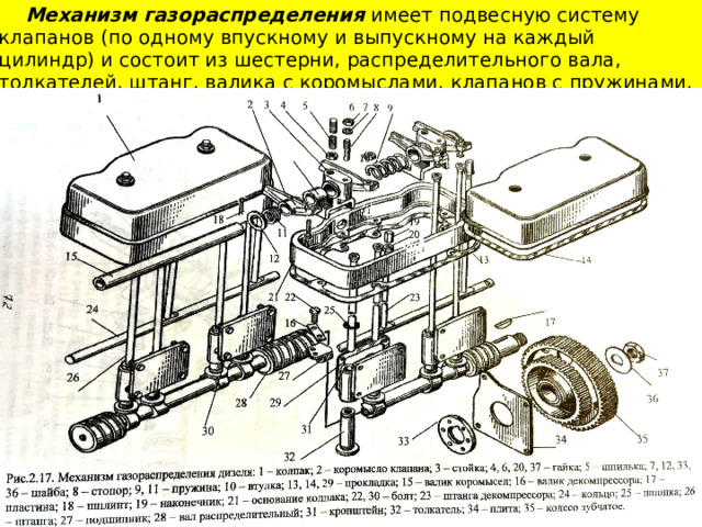  Механизм газораспределения имеет подвесную систему клапанов (по одному впускному и выпускному на каждый цилиндр) и состоит из шестерни, распределительного вала, толкателей, штанг, валика с коромыслами, клапанов с пружинами, тарелками и сухариками. 