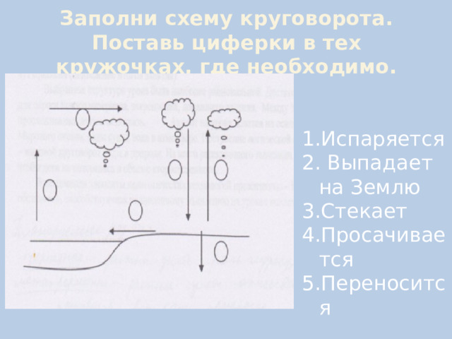 Заполни схему круговорота. Поставь циферки в тех кружочках, где необходимо. Испаряется  Выпадает на Землю Стекает Просачивается Переносится 