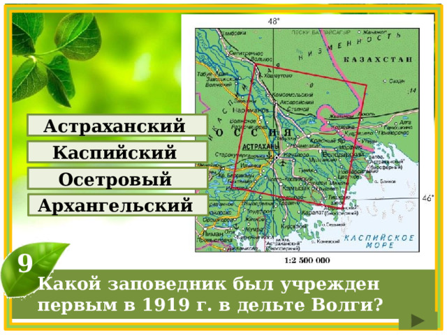 Астраханский Каспийский Осетровый Архангельский 9 Какой заповедник был учрежден первым в 1919 г. в дельте Волги? 