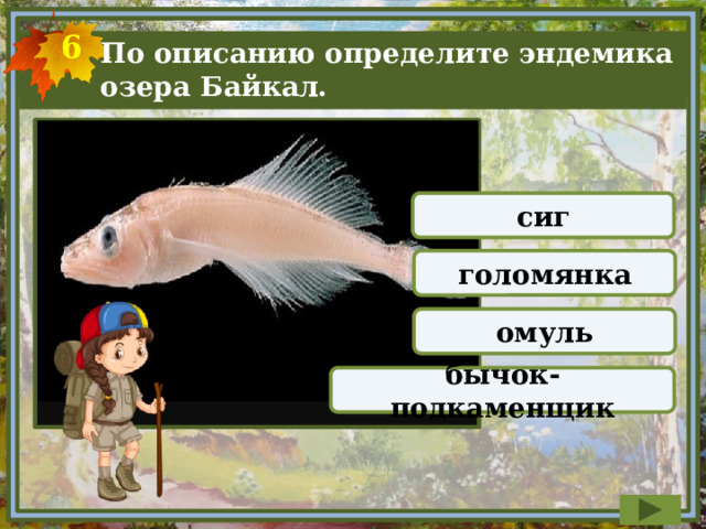 Верно ли что первоначально файл голомянка bmp хранился в каталоге е озера голомянка bmp