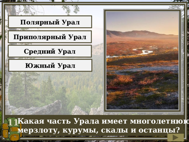 Полярный Урал Приполярный Урал Средний Урал Южный Урал 11 Какая часть Урала имеет многолетнюю мерзлоту, курумы, скалы и останцы? 