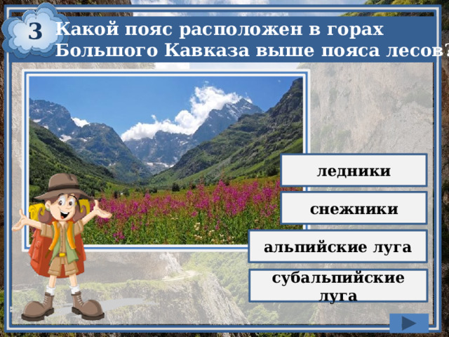 3 Какой пояс расположен в горах Большого Кавказа выше пояса лесов? ледники снежники альпийские луга субальпийские луга 