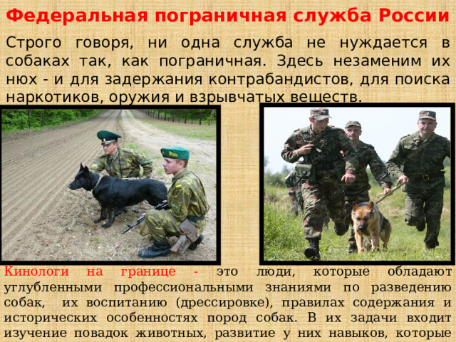 Федеральная пограничная служба России Строго говоря, ни одна служба не нуждается в собаках так, как пограничная. Здесь незаменим их нюх - и для задержания контрабандистов, для поиска наркотиков, оружия и взрывчатых веществ. Кинологи на границе - это люди, которые обладают углубленными профессиональными знаниями по разведению собак, их воспитанию (дрессировке), правилах содержания и исторических особенностях пород собак. В их задачи входит изучение повадок животных, развитие у них навыков, которые могут пригодиться человеку при осуществлении охраны границы.   