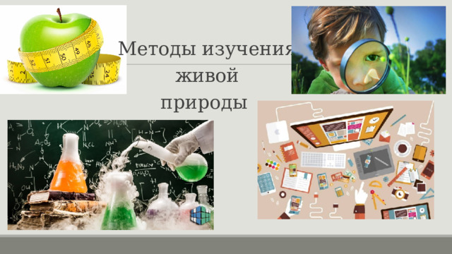 Методы изучения  живой природы 