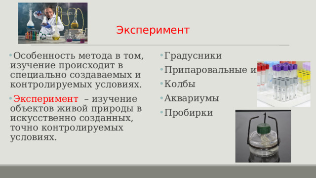 Эксперимент Особенность метода в том, изучение происходит в специально создаваемых и контролируемых условиях. Эксперимент – изучение объектов живой природы в искусственно созданных, точно контролируемых условиях. Градусники Припаровальные иглы Колбы Аквариумы Пробирки Оборудование для эксперимента: Пробирки Спиртовки 